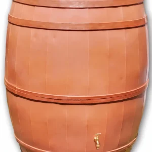 bazowa
